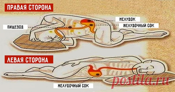1http://fithacker.ru/articles/pomnite-vsegda-spite-na-levom-boku-vot-pochemu/