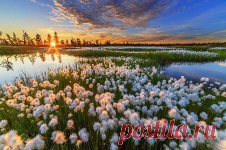 Вечер в окрестностях Нового Уренгоя, Ямало-Ненецкий Автономный Округ