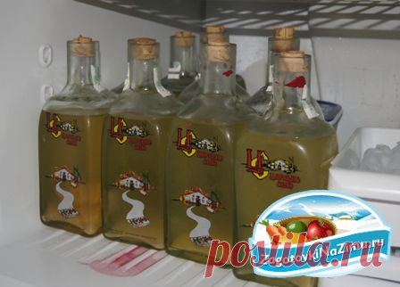 Хреновуха. Лучшие рецепты » Заготовки на зиму - это варенье, соленье, джемы, засолка, компоты, консервирование, маринование