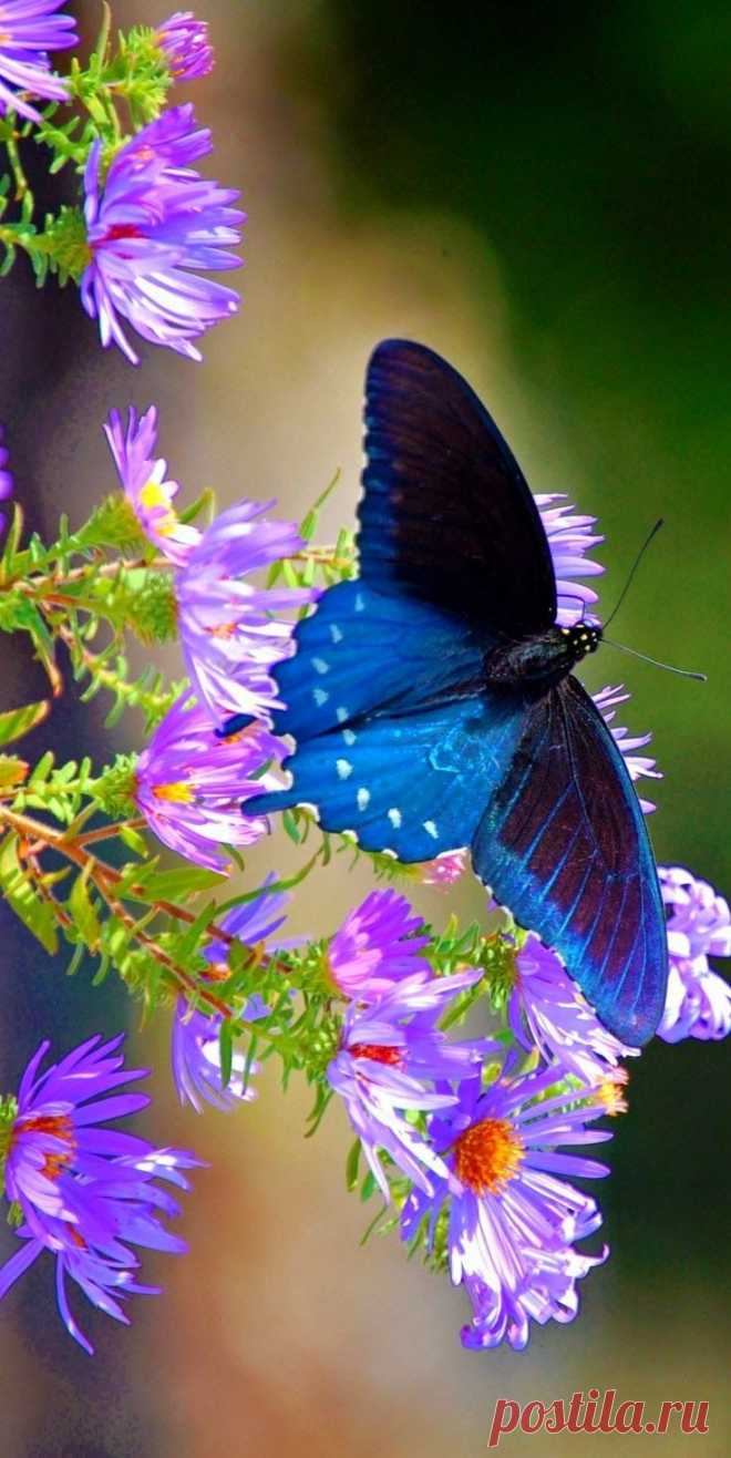 Найдено на сайте wowtastic-nature.tumblr.com.