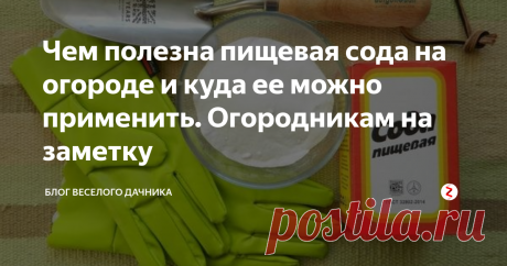 Чем полезна пищевая сода на огороде и куда ее можно применить. Огородникам на заметку Соду знают все! А вот знаете ли вы, чем она может вам помочь на огороде? Предлагаем вам 11 лайфхаков с обычной пищевой содой. Возможно, что-то вам уже известно, ну а что-то точно нет!
Поехали!
1. Мучнистая роса. Сода - отличная альтернатива в борьбе с этим недугом. Разводите в 10 л 4 ст.л. соды и обрабатываете пораженные кустарники и растения по листу. Процедуры стоит проводить с интервалом в неде