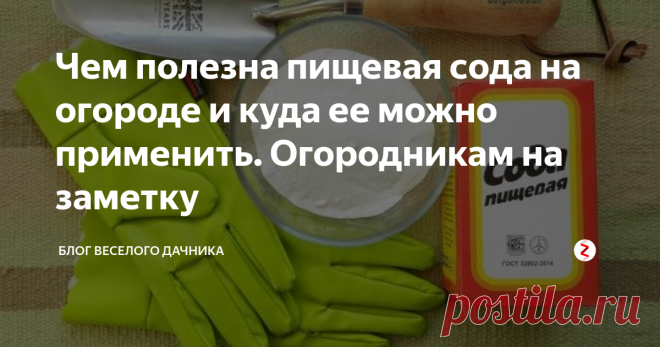 Чем полезна пищевая сода на огороде и куда ее можно применить. Огородникам на заметку Соду знают все! А вот знаете ли вы, чем она может вам помочь на огороде? Предлагаем вам 11 лайфхаков с обычной пищевой содой. Возможно, что-то вам уже известно, ну а что-то точно нет!
Поехали!
1. Мучнистая роса. Сода - отличная альтернатива в борьбе с этим недугом. Разводите в 10 л 4 ст.л. соды и обрабатываете пораженные кустарники и растения по листу. Процедуры стоит проводить с интервалом в неде