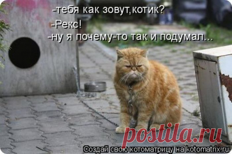 Матерый охранник!