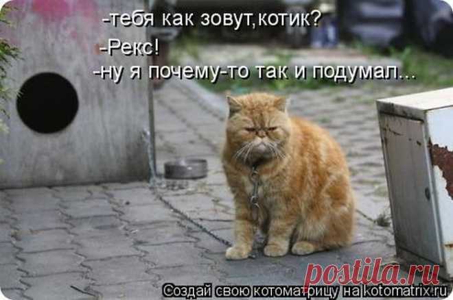 Матерый охранник!