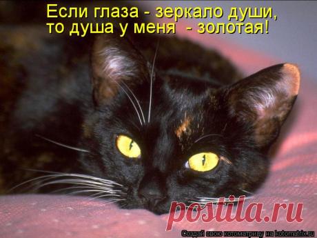 У моей любви зелёные глаза.