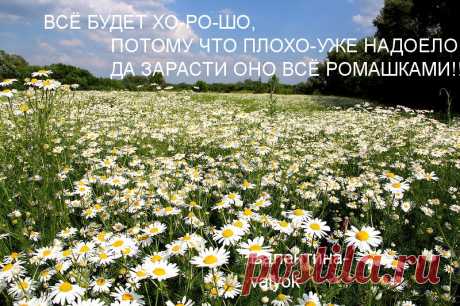 МЫСЛИ ВСЛУХ-МОЯ ОТКРЫТКА