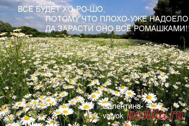 МЫСЛИ ВСЛУХ-МОЯ ОТКРЫТКА