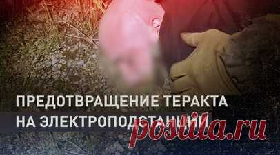 Найти и обезвредить: ФСБ предотвратила теракт в Нижнем Тагиле. Сотрудники ФСБ задержали 27-летнего россиянина, готовившего теракт в Нижнем Тагиле. Проукраинский террорист пытался поджечь электрическую подстанцию, питающую предприятие ВПК и инфраструктуру железной дороги. Подробнее — в видео RT. Читать далее