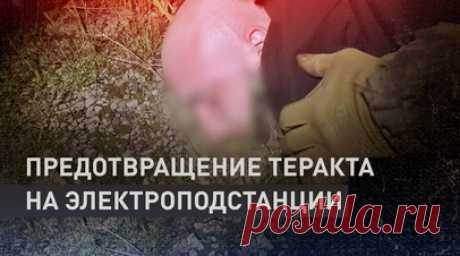 Найти и обезвредить: ФСБ предотвратила теракт в Нижнем Тагиле. Сотрудники ФСБ задержали 27-летнего россиянина, готовившего теракт в Нижнем Тагиле. Проукраинский террорист пытался поджечь электрическую подстанцию, питающую предприятие ВПК и инфраструктуру железной дороги. Подробнее — в видео RT. Читать далее