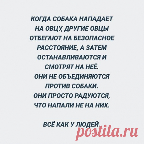 Свобода 2024