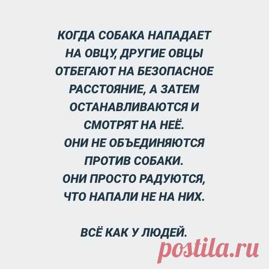 Свобода 2024