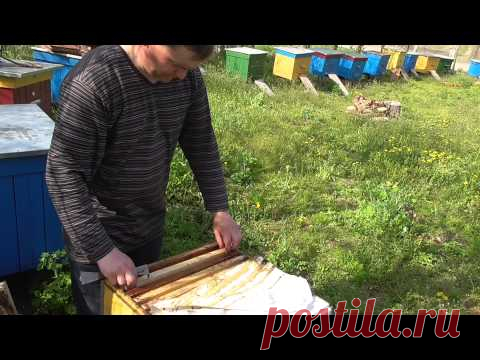 Постановка магазинов на ульи : Борисоглебск