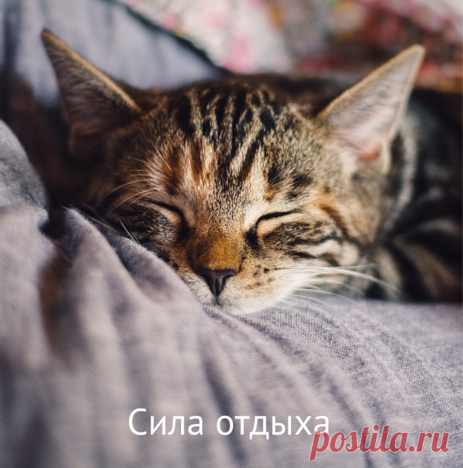 Сила отдыха. Как спалось?
То, как пройдет день, во многом определяет вечер предыдущего дня. Во сколько лег, как спал, как подготовился к новому дню.
⠀
Чтобы день был хорошим и продуктивным, надо, чтобы хорошим был вечер. #силавесны#энергиядляжизни#расслабление