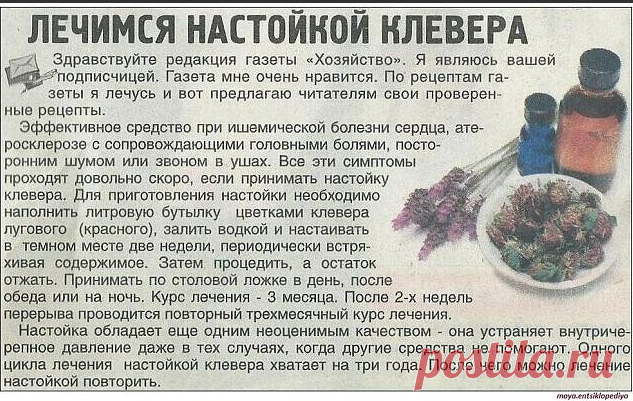 Лидия Алексеевна