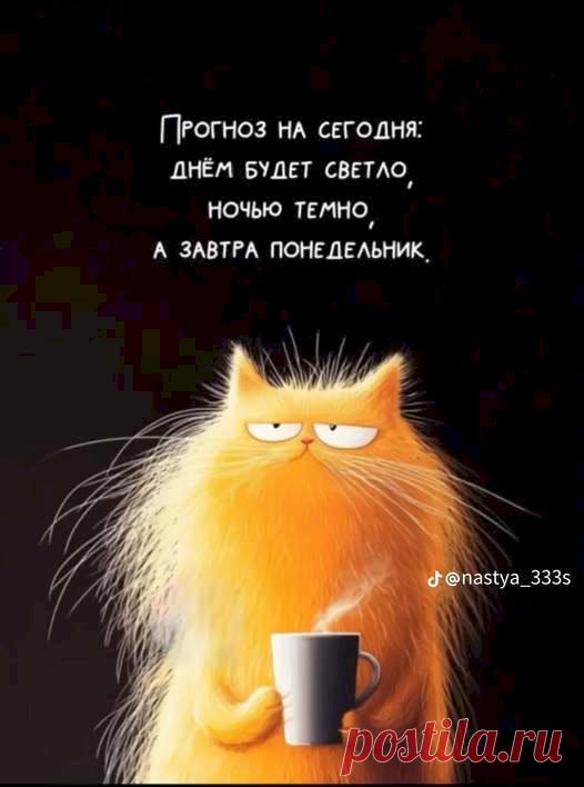 27ed5c37.jpg (526×708)