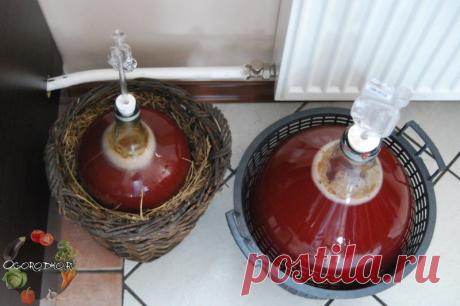 Вино из клубники в домашних условиях – рецепт