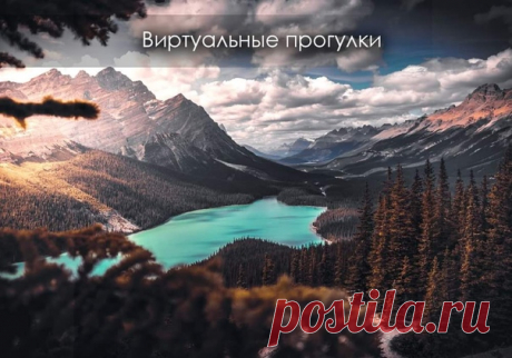 Безумно хочется гулять, но нельзя?
Хочется попутешествовать, но нет возможности?

Можно скрасить время прогулками по заповедникам или просмотром различных онлайн-камер из природных парков!
Домашняя альтернатива ярким впечатлениям:
Показать полностью…