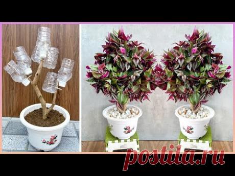 Очень красиво и неповторимо! Простые способы внести свежесть в свой сад