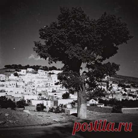 Эрец-Исраэль в 1934-1945. Цфат - Алексей С. Железнов, он же Алекс Авни, он же Гримнир Татхагата — LiveJournal 1 янв 2017
Эрец-Исраэль (Йерушалаим) в 1934-1945, 1948, 1955-1990.