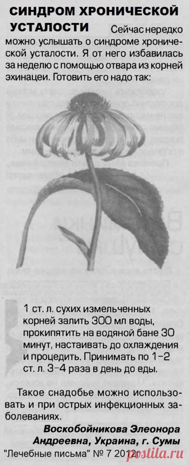 Синдром хронической усталости