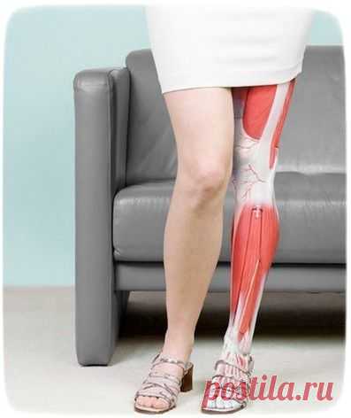 10 занимательных фактов о мышцах и костях человека — Наука и жизнь