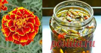 Для профилактики болезней поджелудочной железы, сахарного диабета, для укрепления сосудистой стенки и нервной системы обязательно попробуйте лекарства с бархатцами !

Рецепт №1. 
1 цветок бархатца вместе с семенами измельчить и заварить в 1 стакане кипятка. Принимать по 1/4 стакана 3-4 раза в день. 
 
При панкреатите с частыми приступами по 1 ст. ложке каждые 1-2 часа. 
 
 
Рецепт №2. 
При витилиго, нейродермите, псориазе, ухудшении зрения и выпадении волос. 
 
8 цветков з...