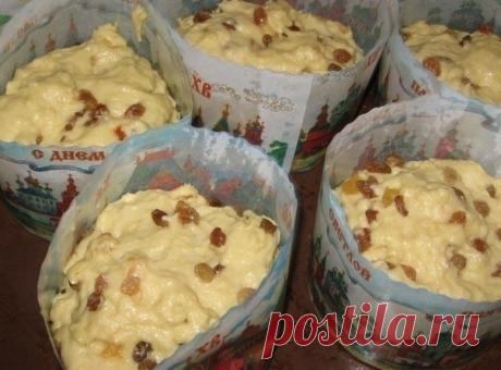 Александрийское тесто (для куличей)

Совершенно потрясающие куличи! Сладкие, нежные, мягкие... Вкуснее я не ела в жизни!
Рецепт бабушкин, готовит она по этому рецепту уже несколько десятков лет.

С порции получается очень много куличей, смело делите количество на 2, 3, 4...

1 л. топленого молока;
1 кг. сахара;
500 гр. слив. масла;
10 яиц;
3 желтка;
150 гр. свежих дрожжей.

Яйца слегка взбить, масло порезать кусочками, смешать все продукты с теплым молоком и оставить в теп...