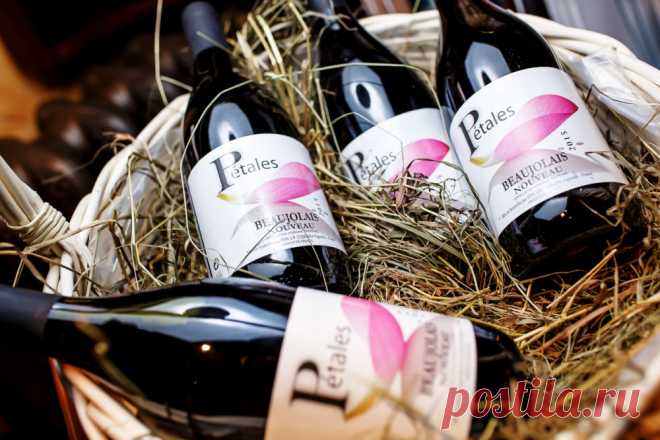 В ноябре во Франции повсюду можно услышать слоган "Beaujolais Nouveau est arrivé!", означающий, что подоспело молодое вино.