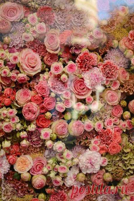 Christian Dior window display in Paris.