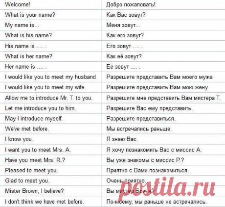 Популярные фразы для общения