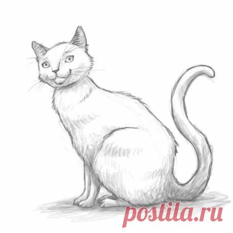 «Результаты поиска по запросу "рисунки кошек" в Яндекс.Картинках» — карточка пользователя slavashishaev в Яндекс.Коллекциях