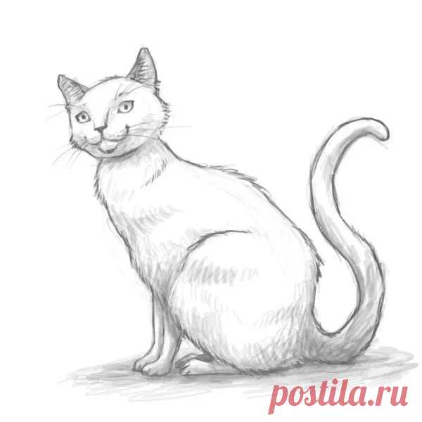 «Результаты поиска по запросу 