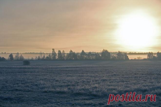 Тверская обл., октябрь 2010 г.