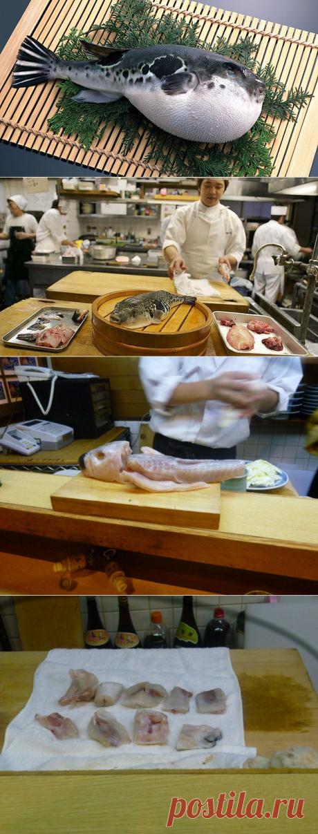Как готовят рыбу фугу | Четыре вкуса