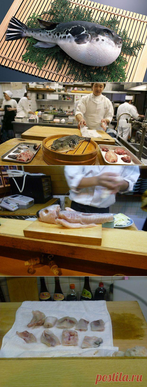 Как готовят рыбу фугу | Четыре вкуса