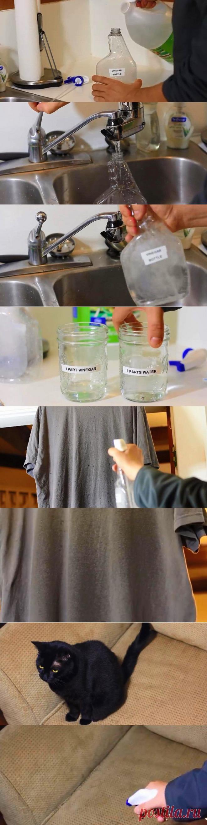 10 применений уксуса в быту / Все для женщины