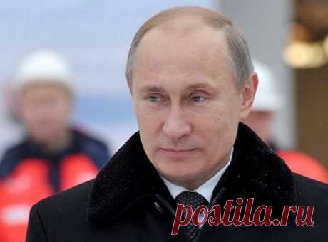 Путин переиграл НАТО своим бездействием | Внешнеэкономические связи