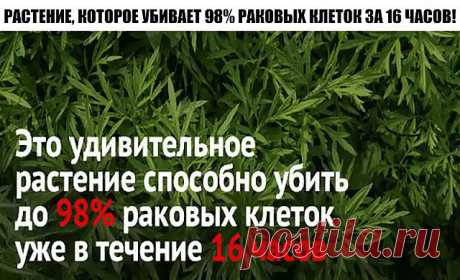 (3) Одноклассники