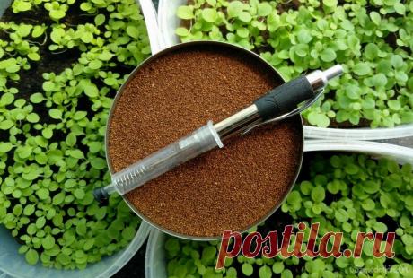 Диспенсер полуавтомат для посева семян В поисках облегчения труда в работе с мелкими семенами, зародилась идея создать ручную универсальную сеялку. Такое устройство позволяет без особого труда, сеять дозированное количество семян - за раз. Применяя разные насадки, область его использования увеличивается: начиная с очень мелких семян от