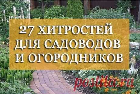 27 хитростей садоводу