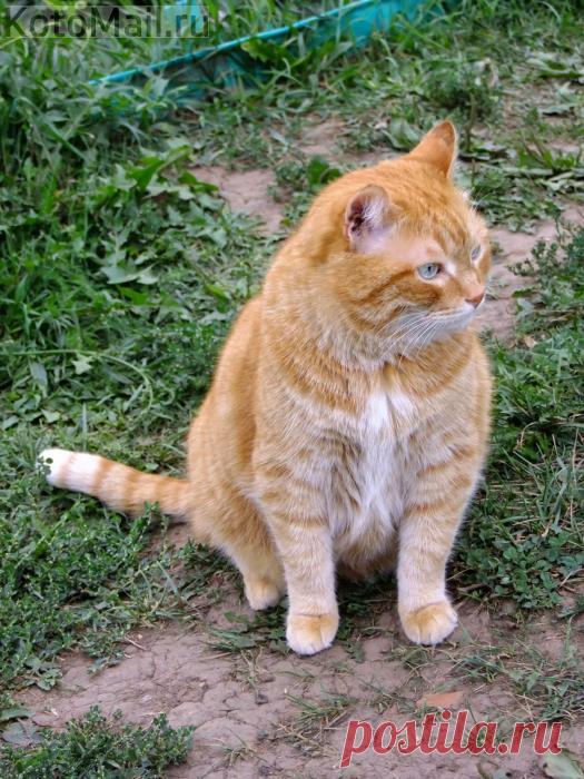 Не пойму: я рано вышел или опоздал?