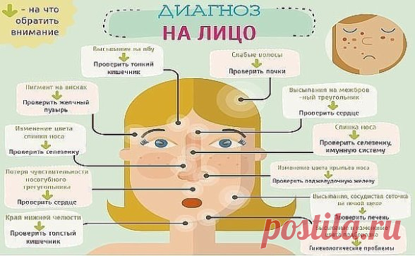 Как узнать о своих болезнях по лицу?  
  Иногда нам кажется, что болезнь приходит к нам внезапно. Но на самом деле, все совсем не так. Наше тело подает нам множество «тревожных сигналов», на которые мы зачастую не обращаем своего внимания. А это очень даже зря! Представляем вам информацию, которая поможет «прочитать» болезни, написанные у Вас…..на лице.  
  ЛОБ  *Осматривая лоб, ищите любые изменения цвета. Краснота и обилие красных сосудиков свидетельствуют о проблемах с сердцем.  *Более тёмн
