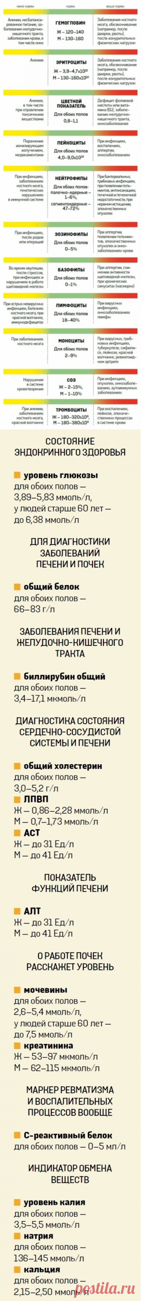 О чем расскажет анализ крови - Новости Украины - From-UA