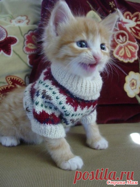 Мелочь в жаккарде