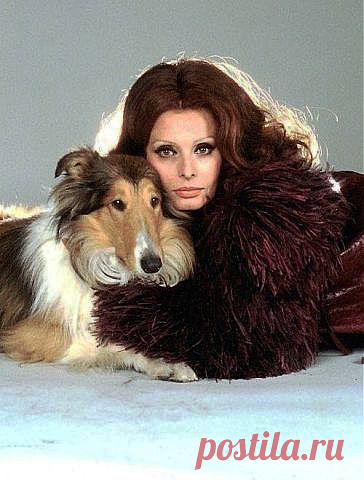 София Лорен