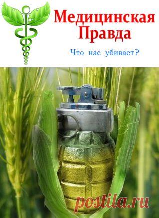 Ешьте сами своё ГМО