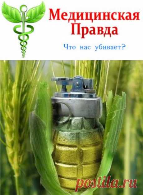 Ешьте сами своё ГМО