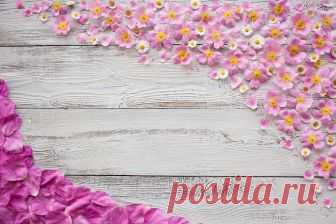 Roses_Bellis_Dog_rose_Wood_planks_Petals_Template_517842_1280x853.jpg (1280×853)