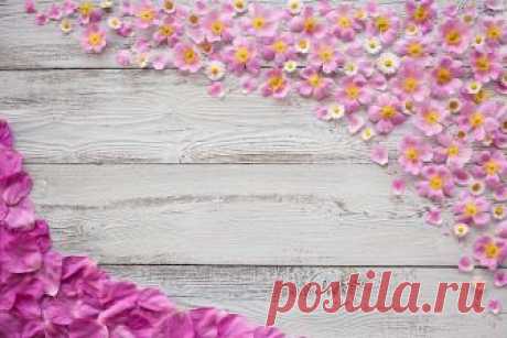 Roses_Bellis_Dog_rose_Wood_planks_Petals_Template_517842_1280x853.jpg (1280×853)