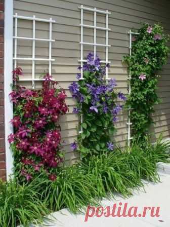 Adorable Front Yard Landscaping Design Ideas 31 - Trendecorist Adorable Front Yard Landscaping Design Ideas 31